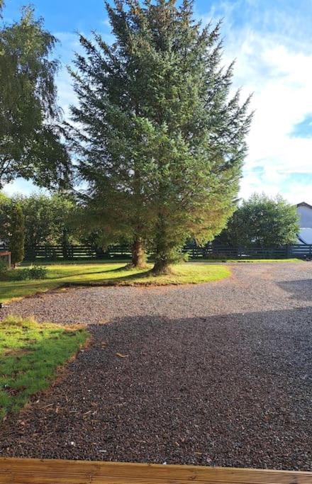 Little Slioch Cottage- A Break From City Life Avoch Экстерьер фото